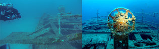  Imperial Eagle Wreck & The Statue Of Christ